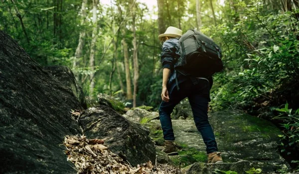 Una persona caminando en un bosque con una mochila.