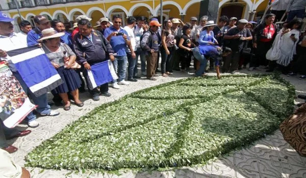 Personas alrededor de una hoja grande formada con hojas