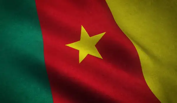 Camerun flag